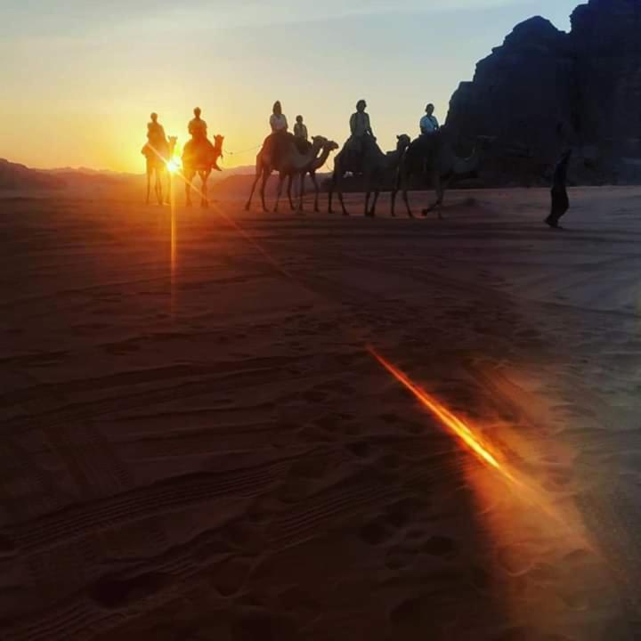 Wadi Rum Oryx Land Esterno foto