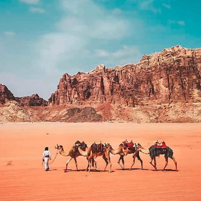 Wadi Rum Oryx Land Esterno foto